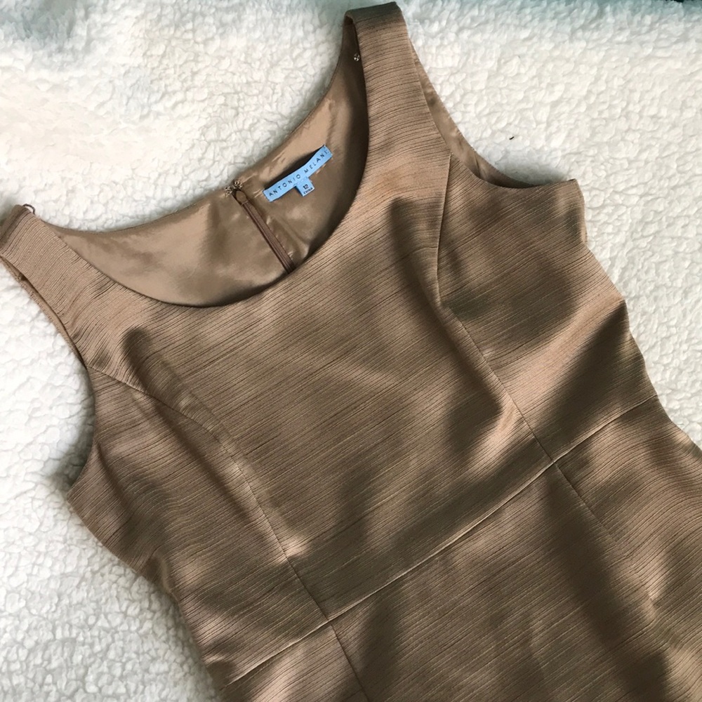 Antonio Melani Stunning Bronze Dress